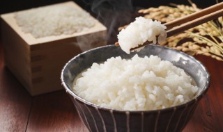 大米饭蒸多长时间制作大米饭蒸多长时间熟