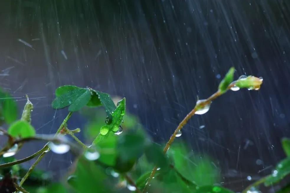 「诗词鉴赏」12首有关小雨的诗词，让小雨驱散夏日的炎热