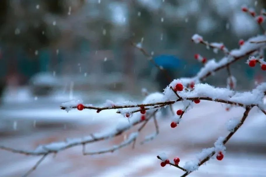 雪诗配雪景，与您尽赏冬雪之美