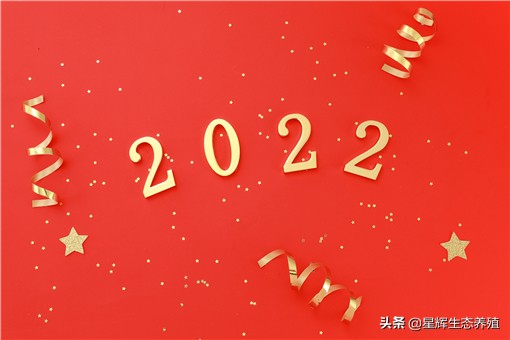 2022年元旦是农历几月几日-1