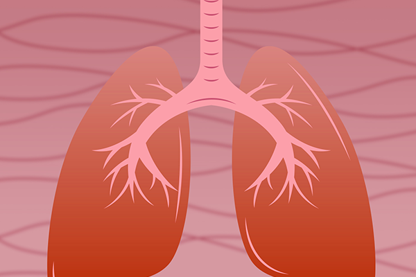 吃什么保护肺部 哪些食物有益于肺部保养