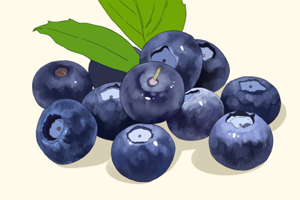 蓝莓可以晚上吃吗会不会发胖 蓝莓能晚上吃吗会不会发胖