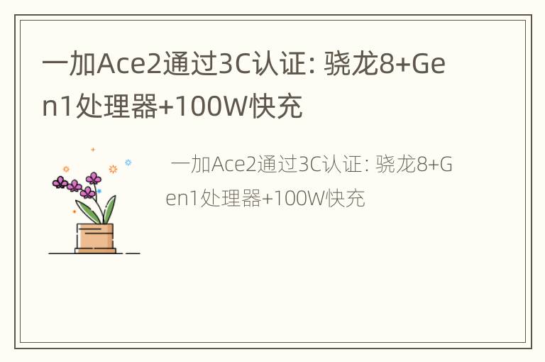 一加Ace2通过3C认证：骁龙8+Gen1处理器+100W快充