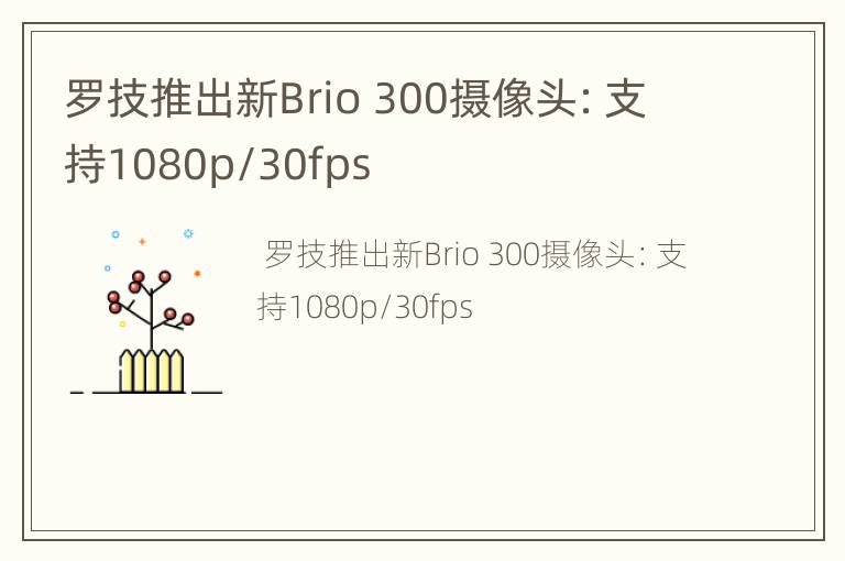 罗技推出新Brio300摄像头：支持1080p/30fps