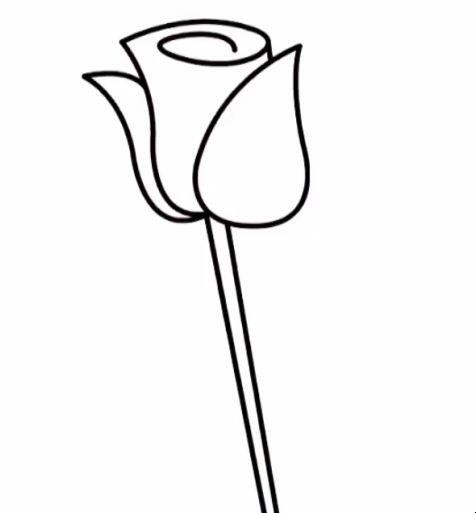 玫瑰花的简笔画怎么画