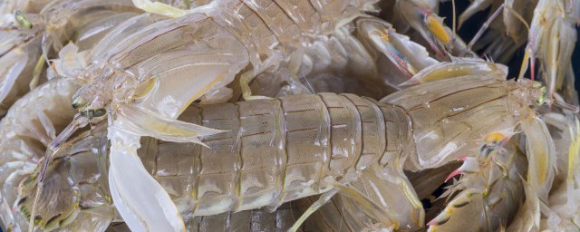 皮皮虾能生吃吗皮皮虾可以直接生吃吗