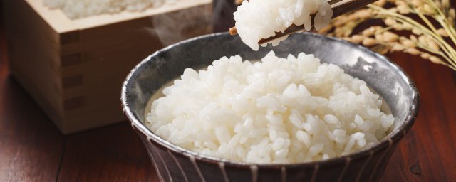 米饭能隔夜吗米饭可以隔夜食用吗