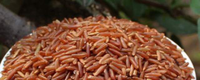 红糙米的功效与作用红糙米是什么米