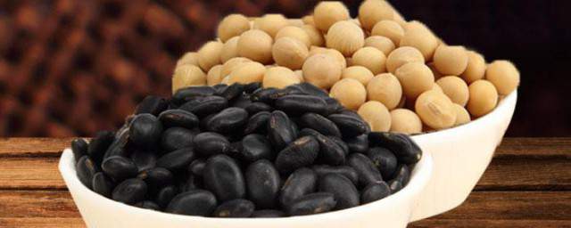 黑豆和黄豆的区别功效黑豆和黄豆有什么区别