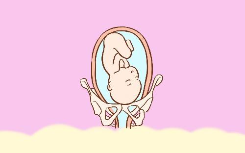 胎儿头和脚怎么区分（宝宝的头和脚分别在哪个位置）